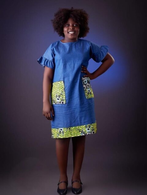 Denim Delight Dress